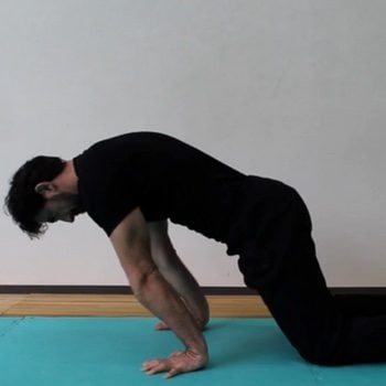 Planche Lean  Must-DO Exercise to Achieve The Planche – Kensui