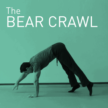 Bear crawl stretching technique