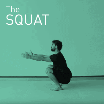 Positioning into a bodyweight squat