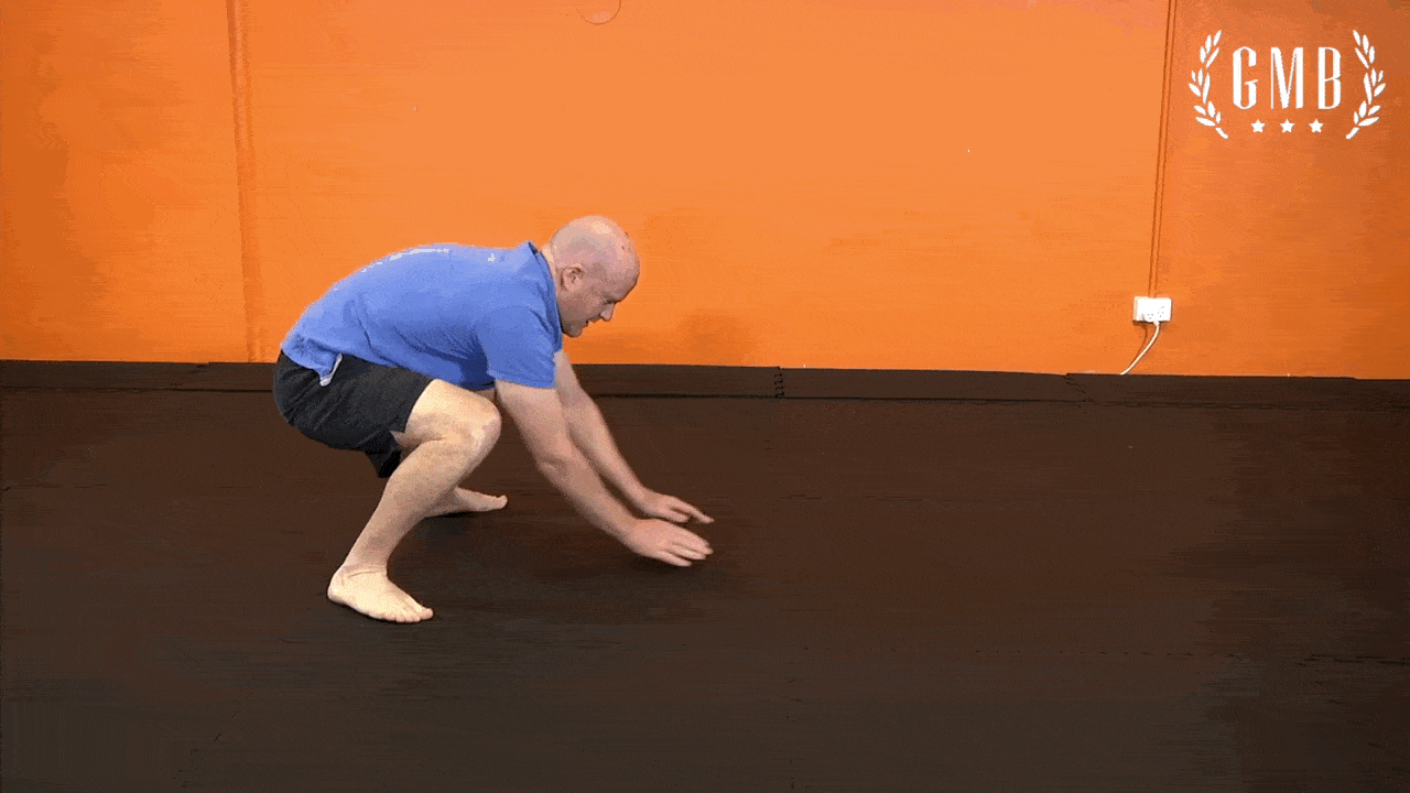 Frogger Locomotion to Improve your Squat