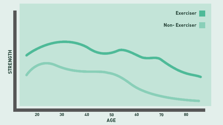 Strength Graph comparing exerciser vs non exerciser