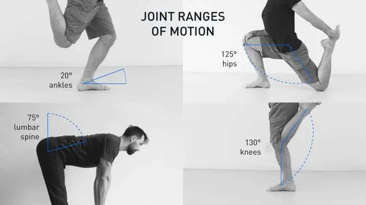 Bodyweight Squat Technique & Mobility