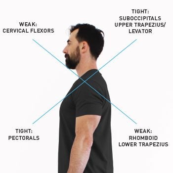 2 Big Myths About Perfect Posture (and How To Find YOURS) 👊