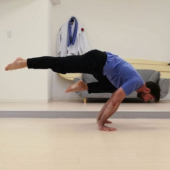 Frog Pose (Mandukasana)