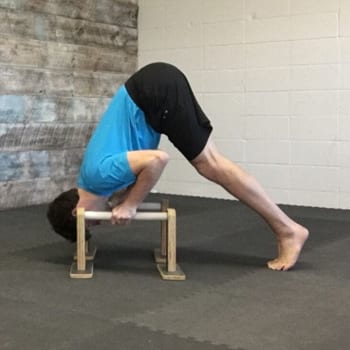 Dips with online parallettes