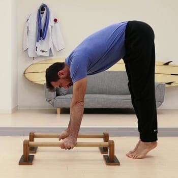 Low best sale parallettes exercises