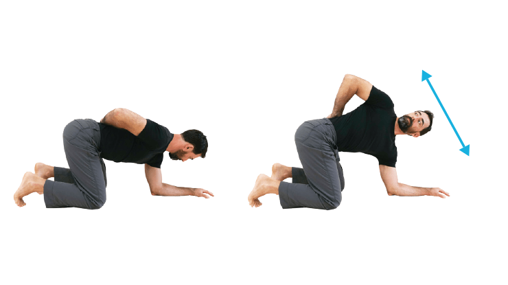 Back Stretches - Quadruped Torso Rotation