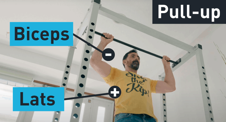 pull-up muscles being worked