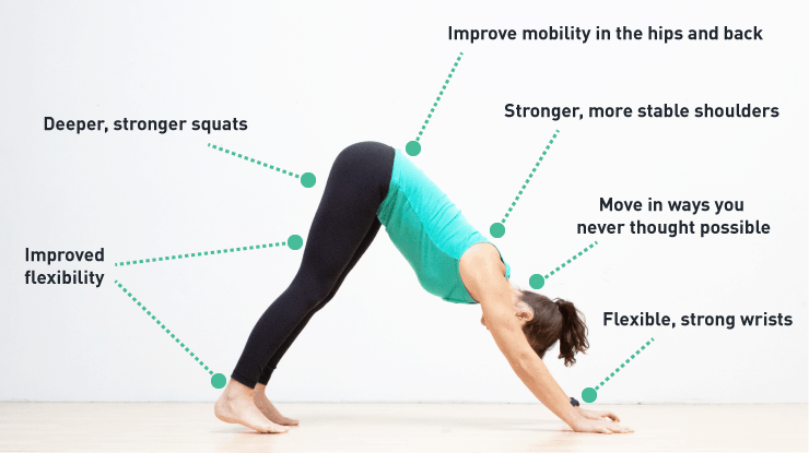 Core Compression Strength For Unshakable Stability GMB Fitness