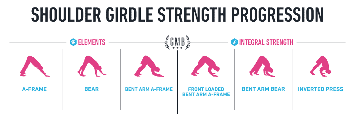 Shoulder girdle strength progression model