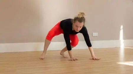 monkey exercise