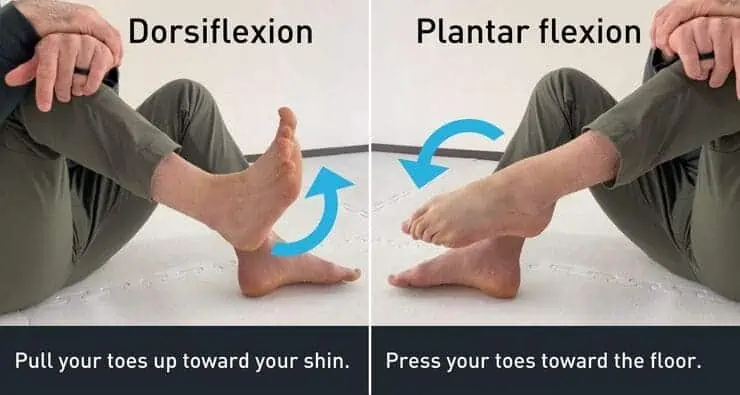 example of dorsiflexion and plantar flexion