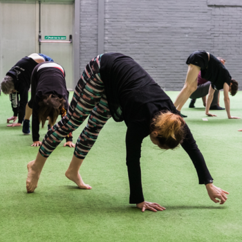 Bear Crawl Exercise