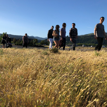 Group of people walking