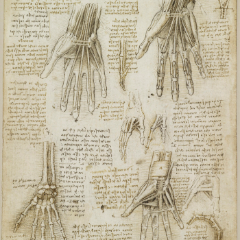 Leonardo Da Vinci Hand sketches