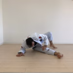 Mobility For BJJ