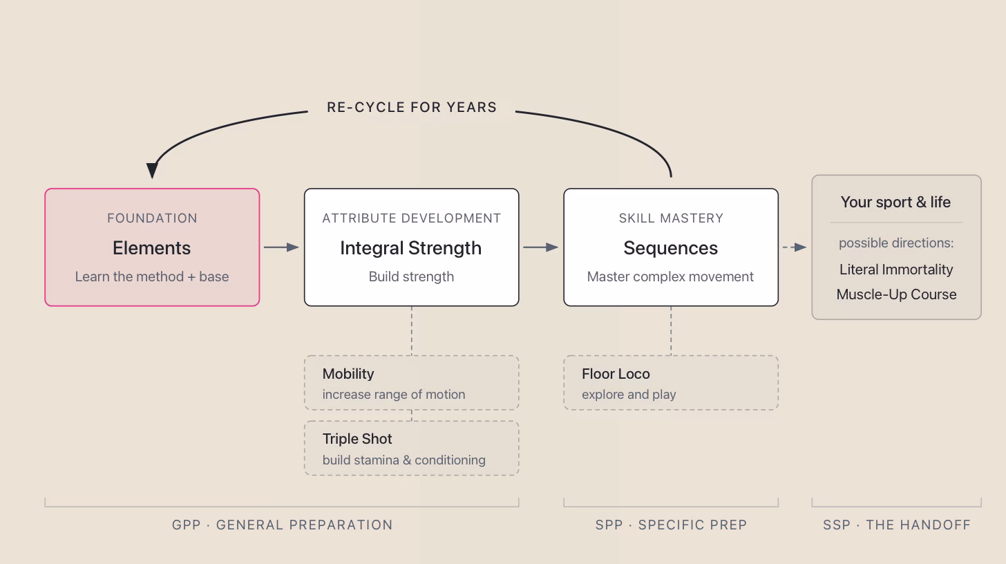 Praxis Protocols 6 The curriculum path from Elements to Integral Strength to Sequences, with a return loop and a handoff to the practitioner's own sport and life